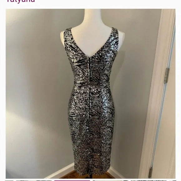 Tatyana Silver Sequin Pin-Up Midi Dress - Picture 4 of 7